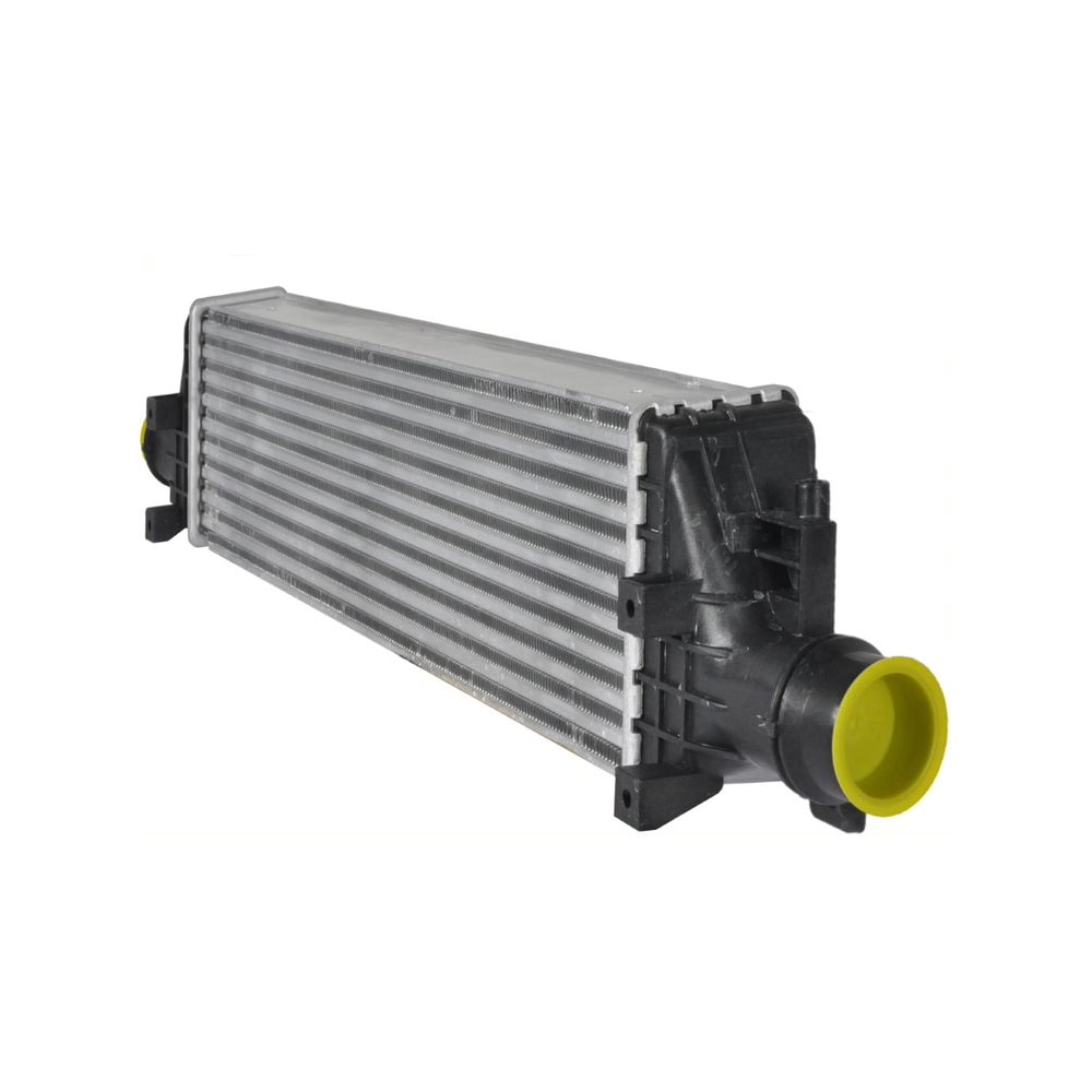 image_6318dd59-101d-4c53-9031-fccb6a7c332c