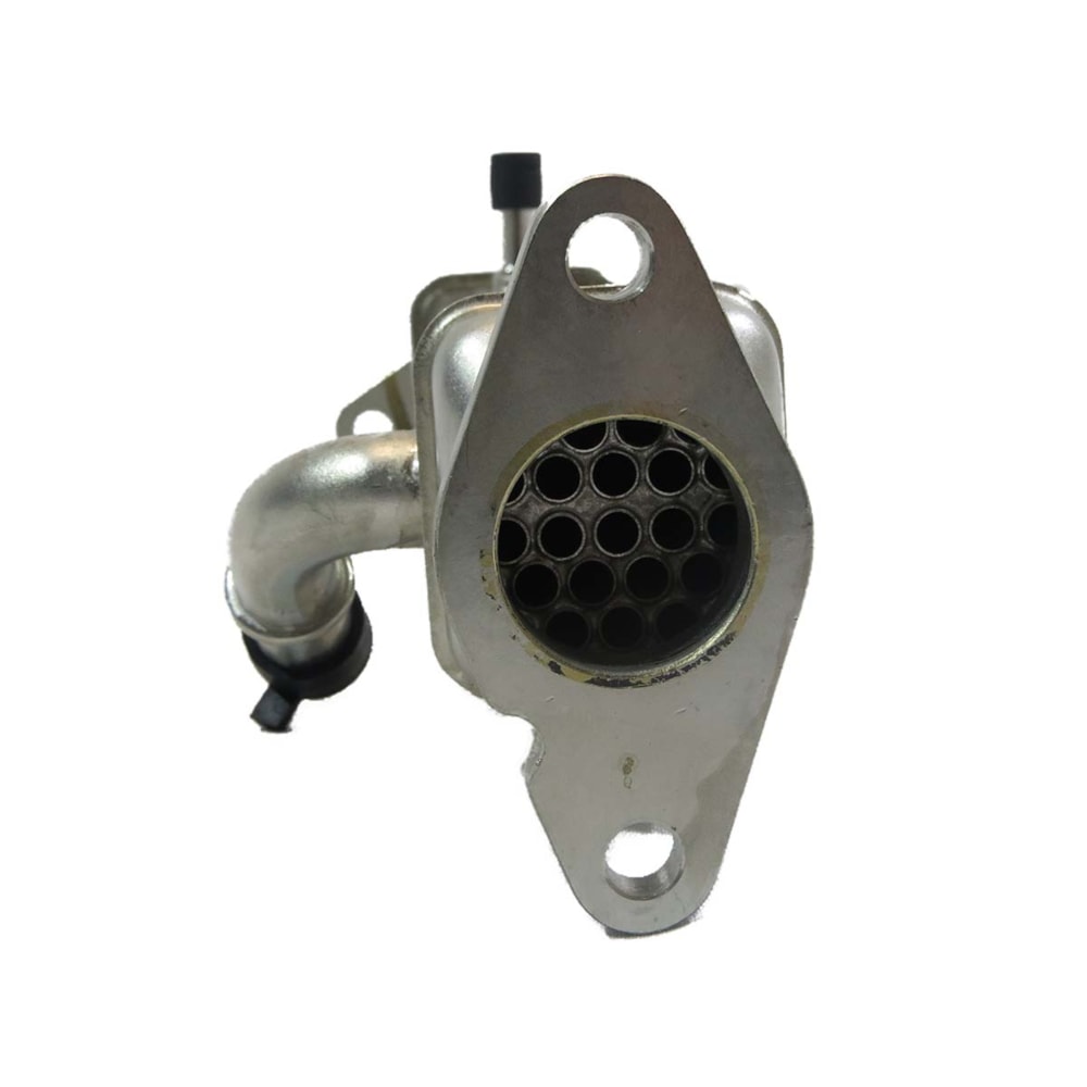 image_3b840784-f00c-4e5a-b872-a541456b690d