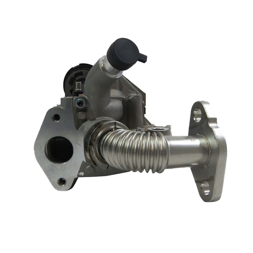 image_45d7d427-01ac-44b1-95a3-b4a7ba91de24