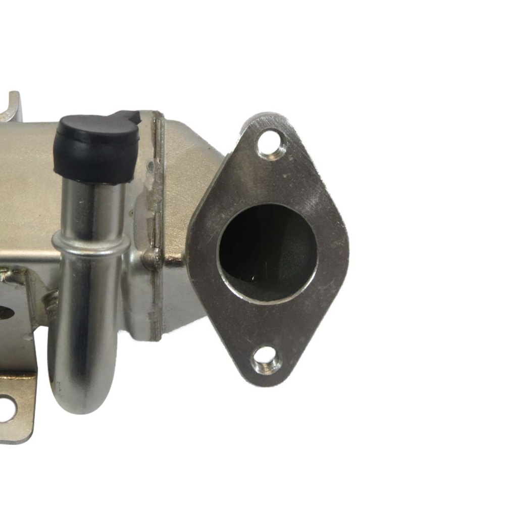 image_6b0ddd5f-f845-46dc-9606-0d77e29c86ce