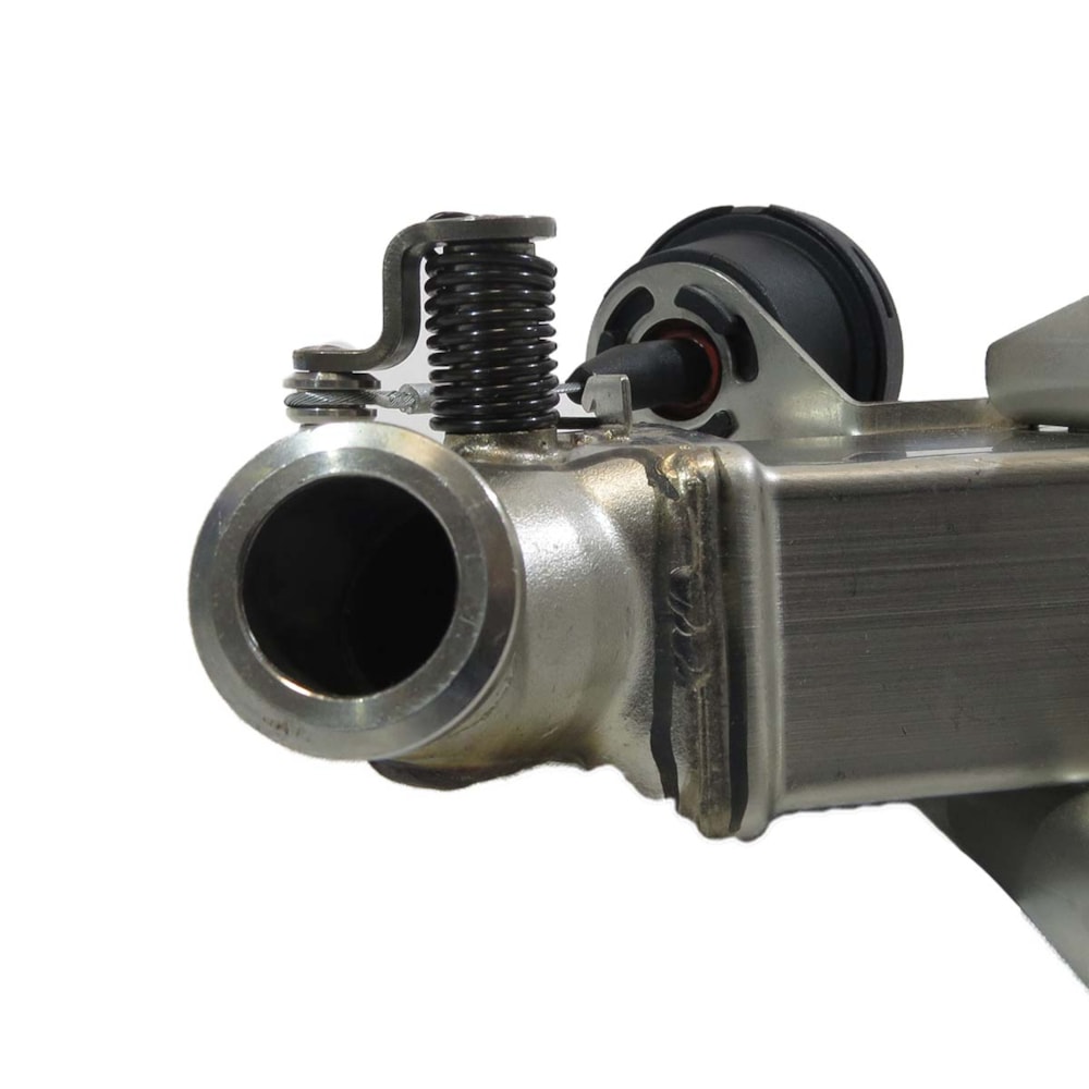 image_62167e1c-09e2-48af-b337-c5174882094e