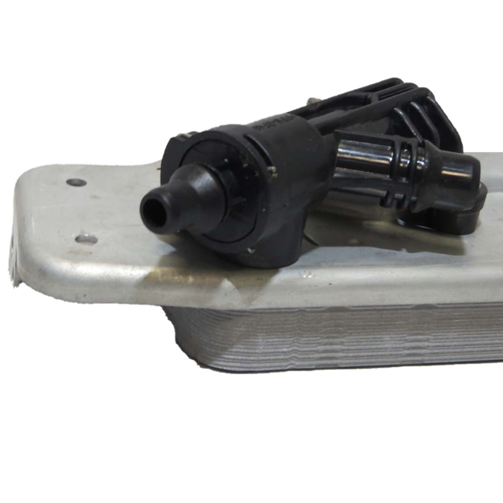 image_fe1155ef-3fb6-4aa9-be9f-fc5f536683bc