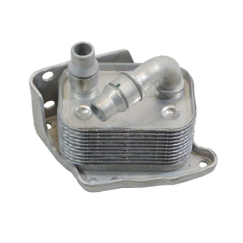 image_5399a48d-91d6-4e22-a008-063f56875403