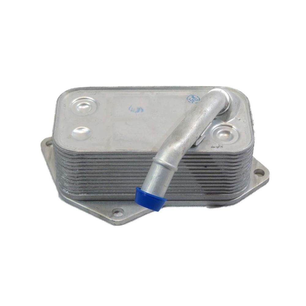 image_3afe24a1-6d55-4a8a-a91e-4cc1d57d12d0