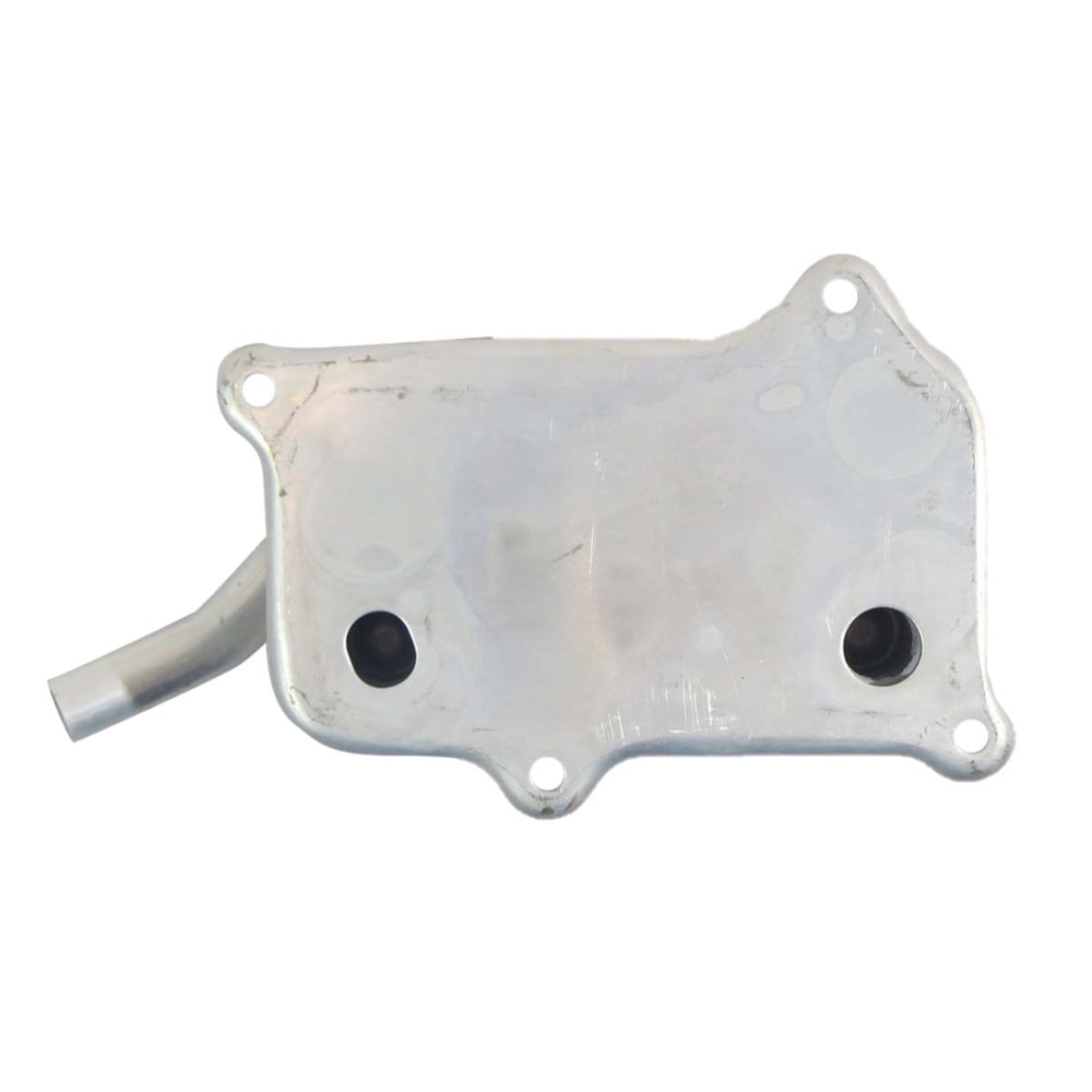 image_f626be33-8a3f-401c-a7ac-a4c30cf0f321