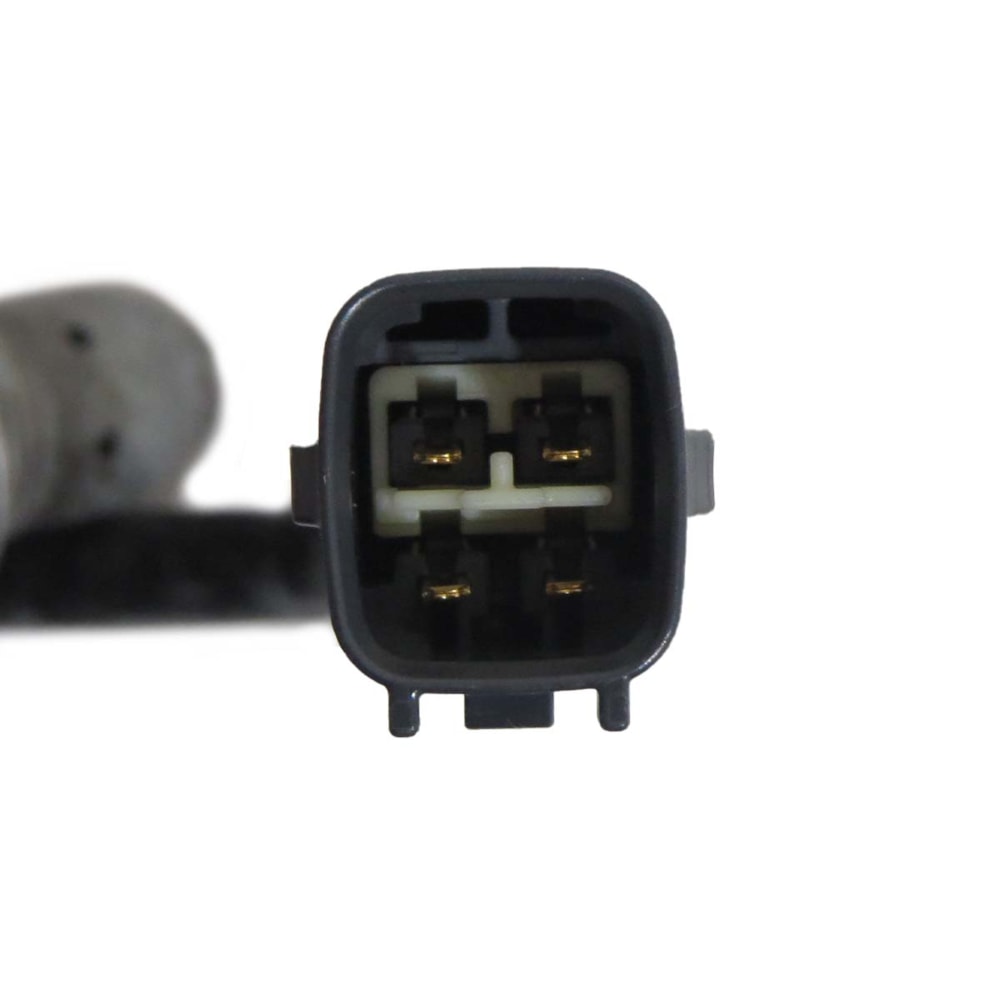 image_49077fe5-9f75-40da-a52c-f233089644ad