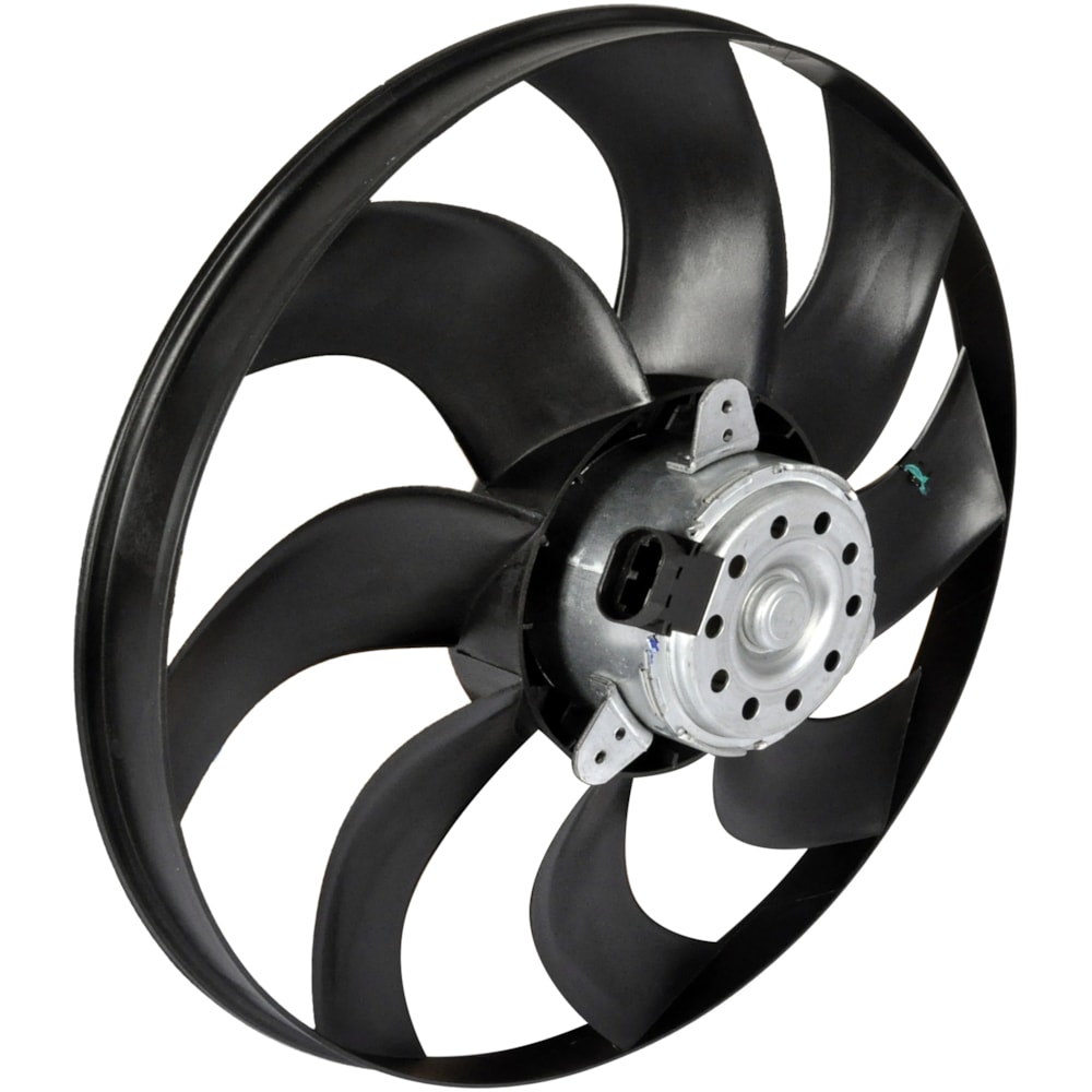 image_ee8d4a81-a923-4643-bafb-de8134515e94